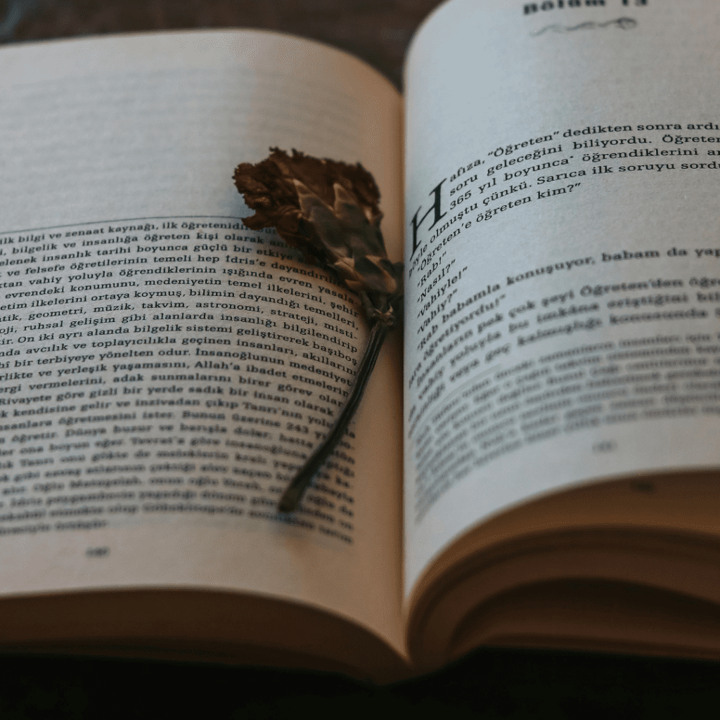 Pressed rose in a book being used as a bookmark.